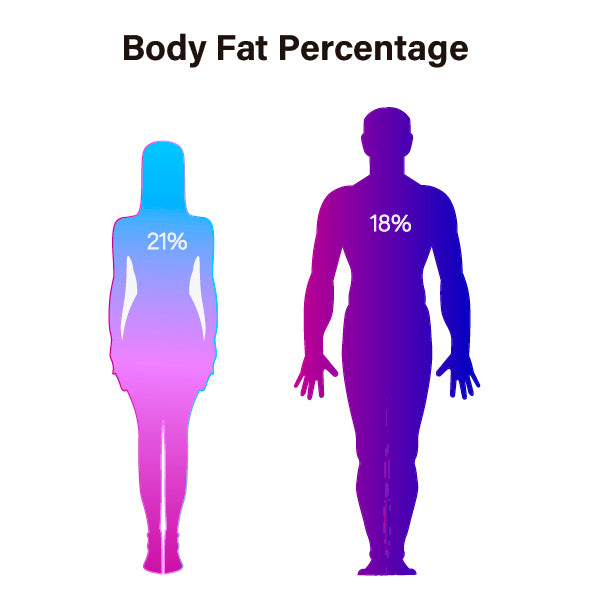 Body fat percentage in men and women